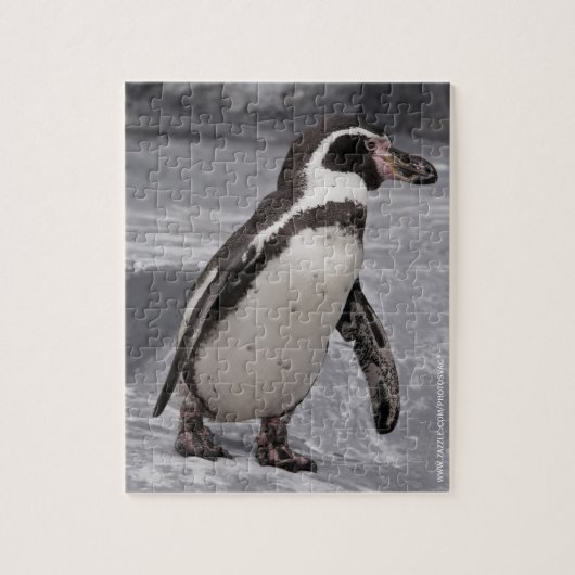 Wandelende Pinguïn Puzzel Legpuzzel (Verticaal)