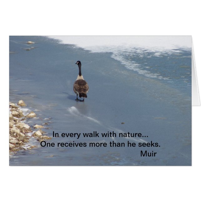 Wandelganzen:Muir (Voorkant Horizontaal)