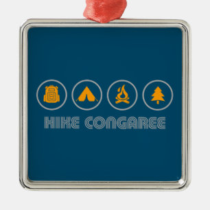 Wandeling Congaree National Park Metalen Ornament