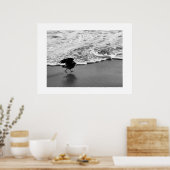 Wandeling door de golven Californië Kleurenfotogra Poster (Keuken)