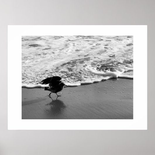 Wandeling door de golven Californië Kleurenfotogra Poster (Voorkant)