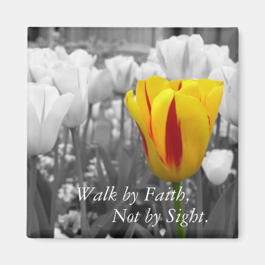 Wandeling door Faith Magnet (Voorkant)