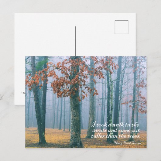 Wandeling in de Bossen - Briefkaart (Voorkant / Achterkant)