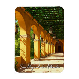Wandeling in San Miguel de Allende Mexico Reizen Magneet