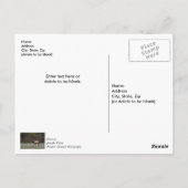 Wandeling van stiereland op ochtend Dank je Postka Briefkaart (Achterkant)