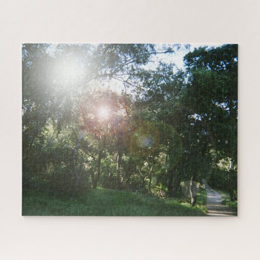 Wandelpad Balboa Park Legpuzzel (Horizontaal)