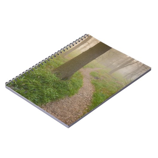 Wandelpad dat leidt naar een bosnotitieboekje notitieboek (Linkerzijde)