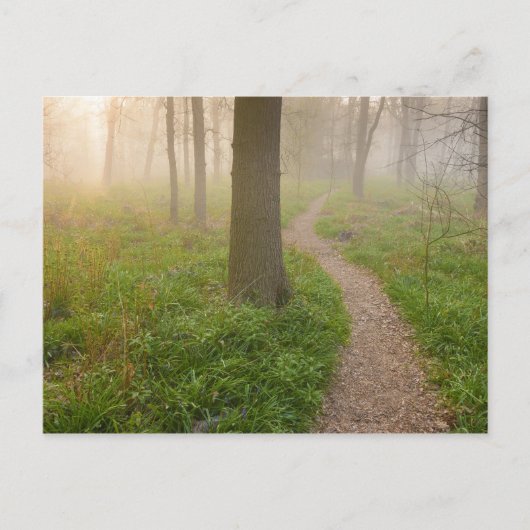 Wandelpad dat leidt naar een briefkaart (Voorkant)