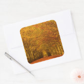 Wandelpad door het bos in de herfst sticker (Envelop)