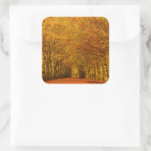 Wandelpad door het bos in de herfst sticker (Tas)