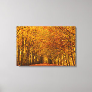 Wandelpad door het canvas van het herfstbos afdruk