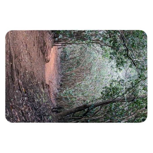 Wandelpad foto magneet (Horizontaal)