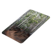 Wandelpad foto magneet (Linkerzijde)