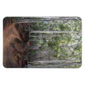 Wandelpad foto magneet (Horizontaal)