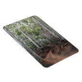 Wandelpad foto magneet (Rechterzijde)