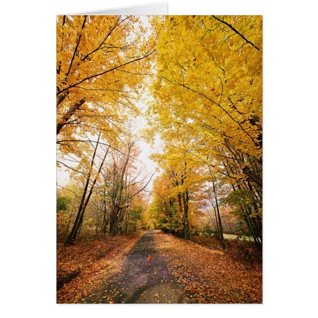 Wandelpad herfst-olievloeistof (Voorkant)