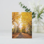 Wandelpad herfst-olievloeistof briefkaart (Staand voorkant)