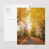 Wandelpad herfst-olievloeistof briefkaart (Voorkant / Achterkant)