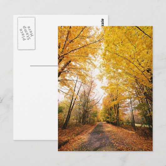 Wandelpad herfst-olievloeistof briefkaart (Voorkant / Achterkant)
