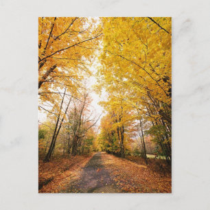 Wandelpad herfst-olievloeistof briefkaart