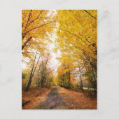 Wandelpad herfst-olievloeistof briefkaart (Voorkant)