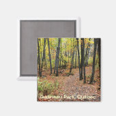 Wandelpad in de herfst, Gatineau Park, Quebec. Magneet (Voorkant / Achterkant)