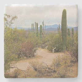 Wandelpad in de woestijn in Arizona, volgend onder Stenen Onderzetter