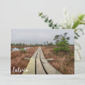 Wandelpad in moeras (Staand voorkant)