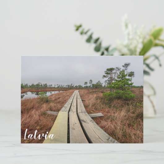 Wandelpad in moeras (Staand voorkant)