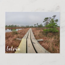 Wandelpad in moeras briefkaart