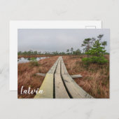 Wandelpad in moeras briefkaart (Voorkant / Achterkant)