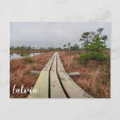 Wandelpad in moeras briefkaart (Voorkant)