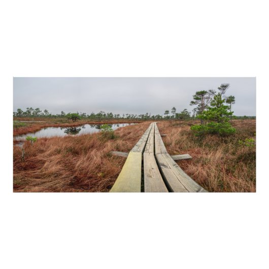 Wandelpad in moeras foto afdruk (Voorkant)