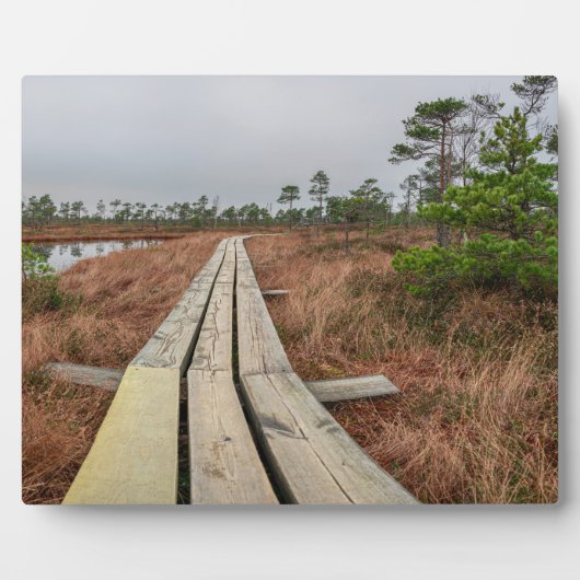 Wandelpad in moeras fotoplaat (Voorkant)