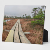 Wandelpad in moeras fotoplaat (Zijkant)