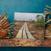 Wandelpad in moeras fotoplaat (Zijkant)