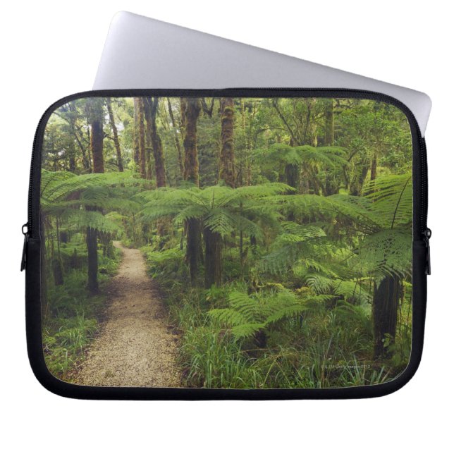 Wandelpad in regenwoud met fernbomen - laptop sleeve (Voorkant)