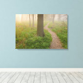 Wandelpad leidt naar een boscanvas canvas afdruk (Insitu (Houten vloer))
