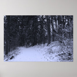 Wandelpad met sneeuwbedekking 2 poster