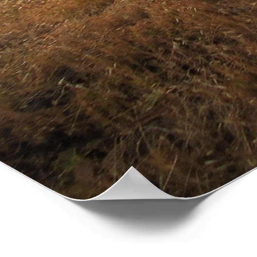 Wandelpad Poster (Hoek)