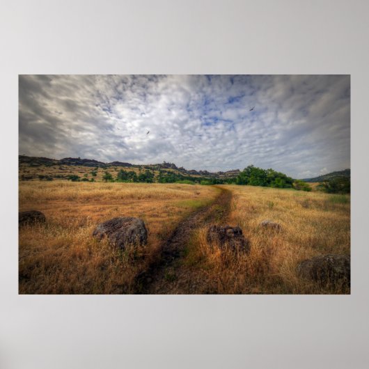 Wandelpad Poster (Voorkant)