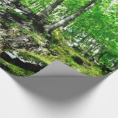 Wandelpaden in Wales Neath Valley Cadeaupapier (Hoek)