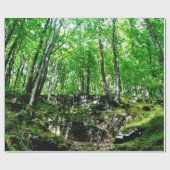 Wandelpaden in Wales Neath Valley Cadeaupapier (Vlak)