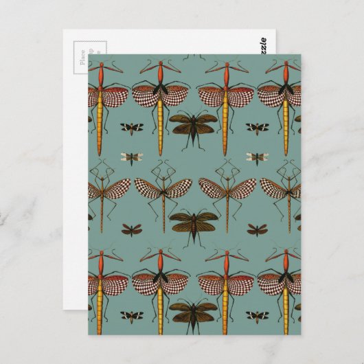 Wandelstokken, Katydiden en libellen Briefkaart (Voorkant / Achterkant)