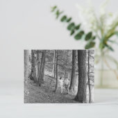 wandelwagentje van het Imp-meer, Bovenschiereilan Briefkaart (Staand voorkant)