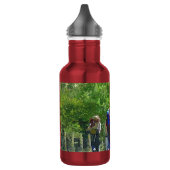 WANDEREN WATERFLES (Links)