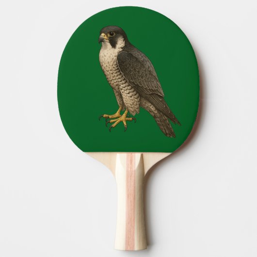 Wanderfalke Tafeltennisbatje (Voorkant)