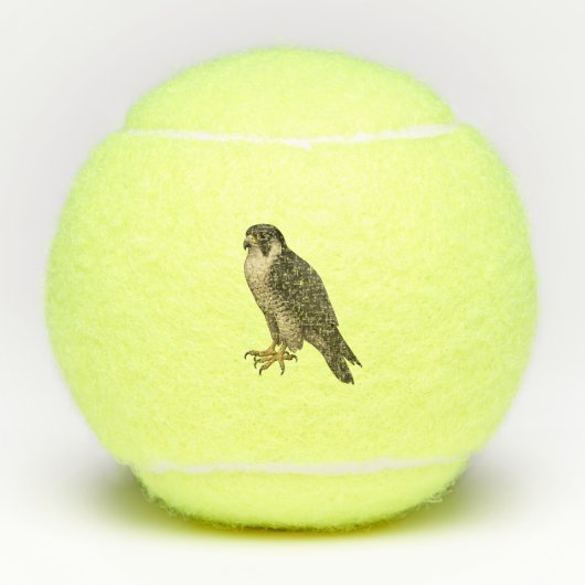 Wanderfalke Tennisballen (Voorkant)