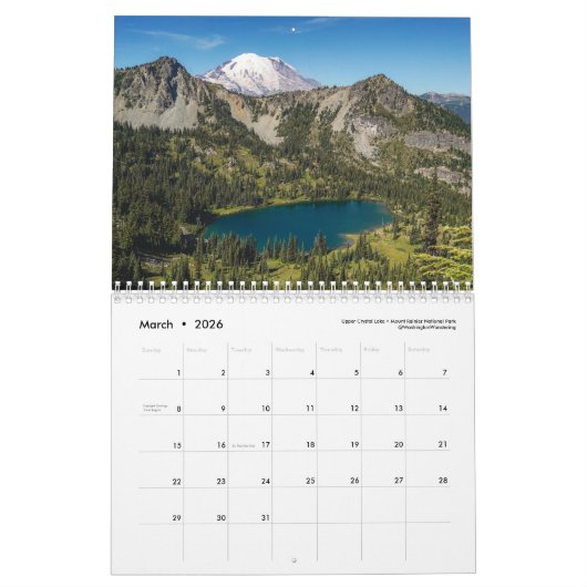 Wandering 2024 door Anna Taylor Kalender (4) (Mar 2026)