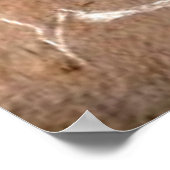 Wandering Bison Herd Poster (Hoek)